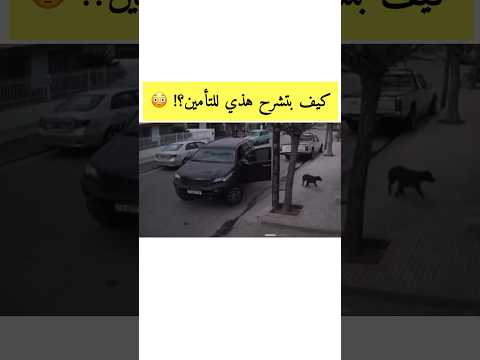 كيف تقنعهم ان الكلب سواها ؟! 😂 #اكسبلور #السعودية #العراق