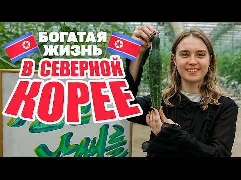 Богатая жизнь в Северной Корее изнутри