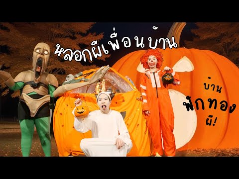 แกล้งเพื่อนบ้านจนร้องไห้ฟักทองผียักษ์ค่ำคืนHalloween