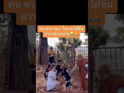 ไม่อยากขำเลย 😂 #funny #shorts ￼