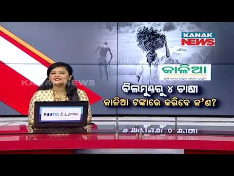 Odisha Farmers To Get Rs 2000 Under KALIA Scheme | Reaction Of Farmer