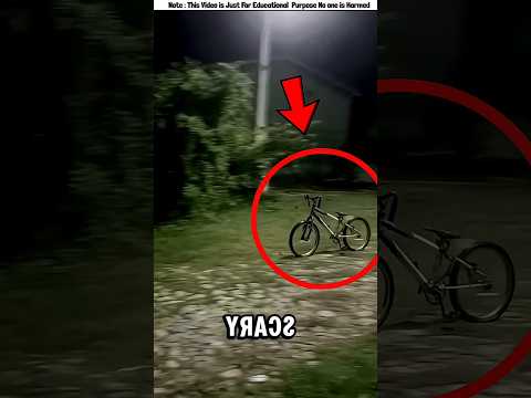 Amon Cycle Dekhlea Paleao😱 #shorts #funny #ytshorts #cat