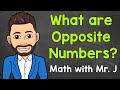 Understanding Opposite Numbers