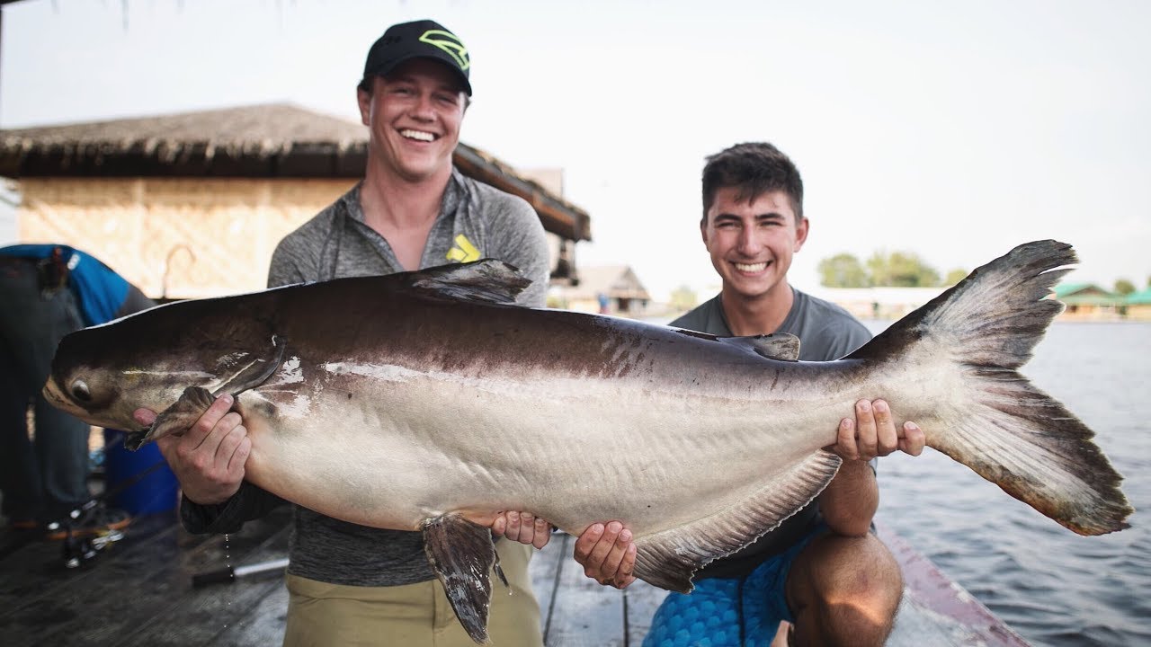 Monster Mekong Catfish! FT. APBASSING - Jay Siemens
