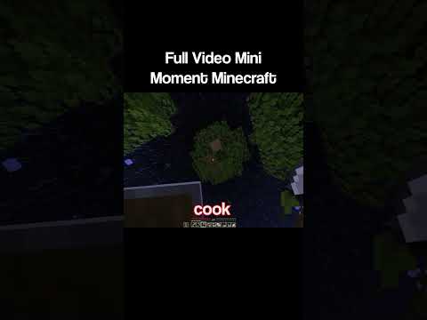 Full Videos Mini Moment Minecraft