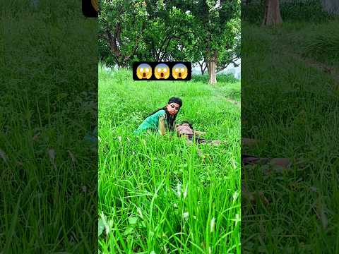 चमत्कारी कुल्हाड़ी 😱 #comedy #bhoot #shorts #youtubeshorts #trendingshorts #viralshorts #pkdhasu