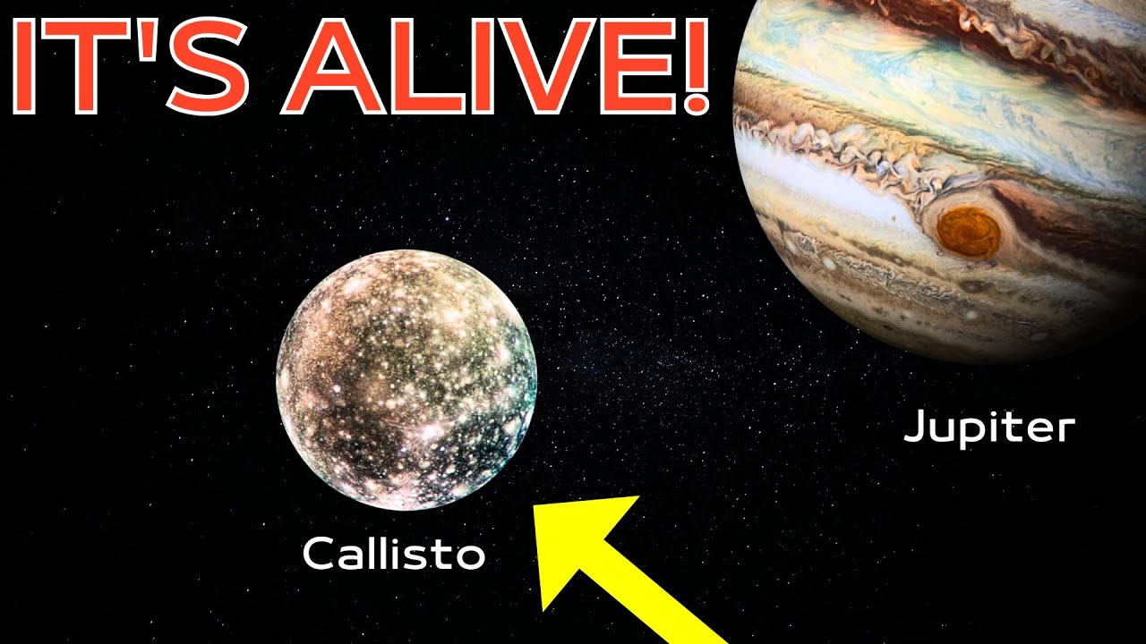 Shocking! New Study Reveals that Jupiter’s Moon Callisto Has Alien Life Potential