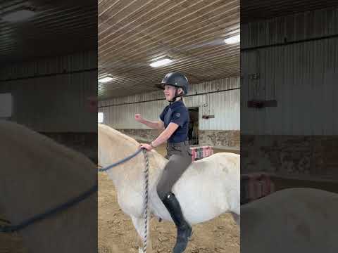 Bugatti with Izzi and Gabby . Have fun with it 🤪❤️😊😎.#horse #equestrianjourney #equestrian #pony