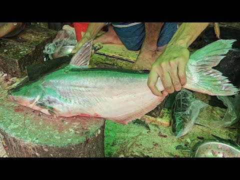 Pangas New Style Cutting | Giant Pangas Fish Cutting Live In Fish Market | Big Pangas Fish Cutting