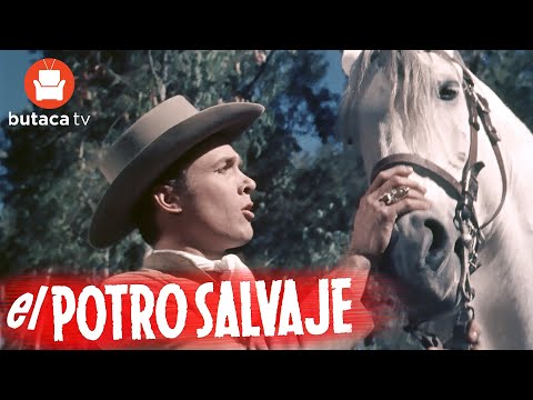 El potro salvaje - película completa