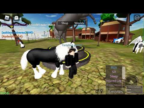 Free Roblox Codes For Horse World 07 2021 - how to make a punch emote on roblox