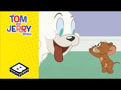 Jerry Has a New Friend | Christmas | Tom and Jerry | @BoomerangUK