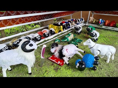 WADIDAU โผ๏ธ POTONG SAPI KURBAN, DOMBA, UNTA & KAMBING | MANTUL
