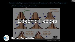 Edaphic Factors