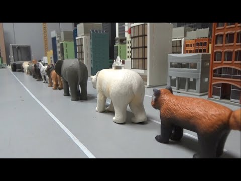 10 Animals ride truck 10 마리 동물 트럭에 타기