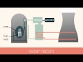 Nuclear Reactions and Their Mechanisms