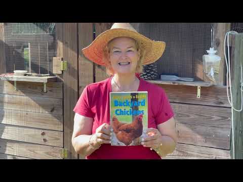 How to Get Your Chickens Ready For Hot Weather