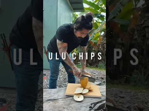 Ulu is the Hawaiian breadfruit. it can be a pain to process but worth it. it’s a very versatile.