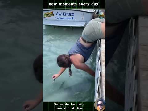 Rare Animal Moments: Unbelievable Footage & Adorable Soft Attacks You’ve Never Seen Before  #animals
