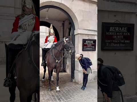 "Japanese Tourists Show Respect for Regal Horse! #Shorts #Respect #Japan #Shorts