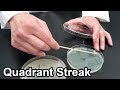 Streaking Techniques in Microbiology