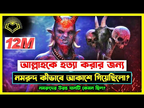 আল্লাহর সাথে যুদ্ধ করতে নমরুদ কিভাবে আকাশে গিয়েছিল? নমরুদের উড়ন্ত যানটি কেমন ছিল?