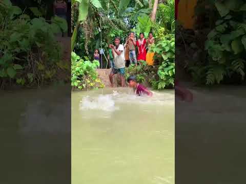 Bangla village on fishing’s amazing shorts #fishing #trending #fish #villagelife #video #foryou