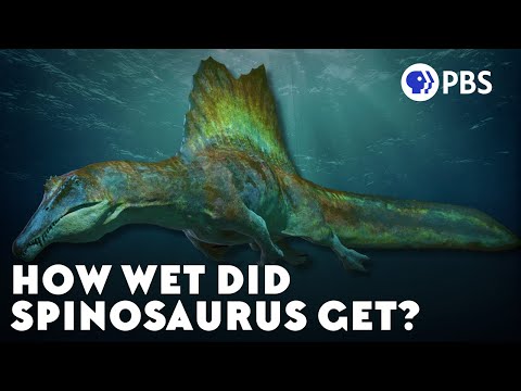 Why Paleontologists Can’t Stop Fighting About Spinosaurus