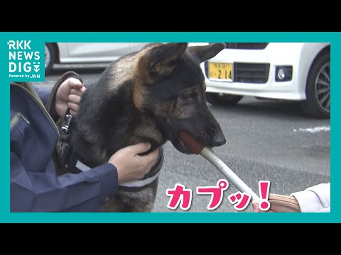 ぬかるんだ山道 新入り警察犬「ジゲン号」がスピード救助　ご褒美にジャーキー1キロ贈呈「今の気持ちは？」　熊本