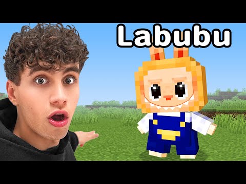 Valsspelen Met Labubu's In Een Gevecht