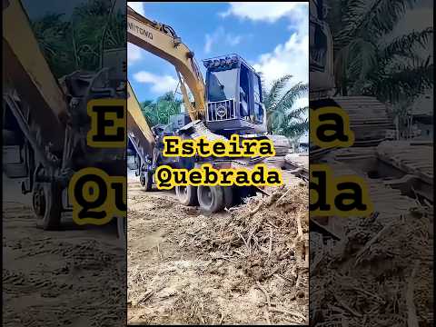 Como desembarcar escavadeira com esteira quebrada #escavadeira #terraplanagem #operador #patroa