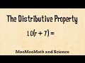 Understanding the Distributive Property