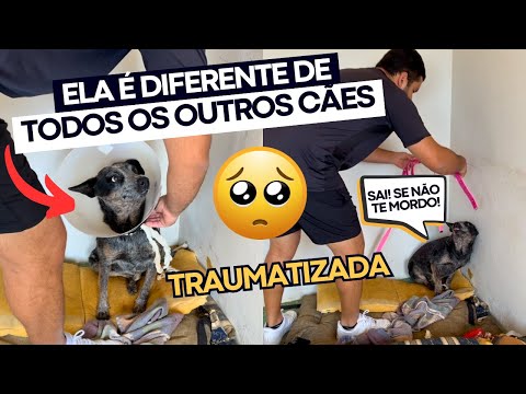 A ANA CASTELA ESTÁ SENDO NOSSO MAIOR DESAFIO 😢