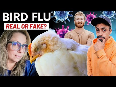 Bird Flu EXPOSED: Conspiracy or Crisis? McMurray Hatchery Experts Speak Out