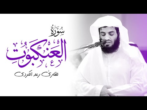 سورة العنكبوت كاملة بصوت القارئ رعد الكردي