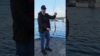 🎣 Pescar noutra ilha… valeu a pena? pt 1