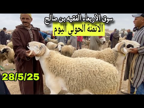 مباشرة من سوق الاربعاء الفقيه بن صالح 28/5/25 مع تمن الحولي و حولية و النعجة 🐑🐑🇲🇦