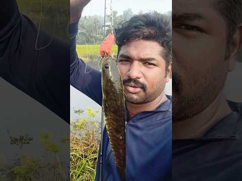 ഒരു കുഞ്ഞുവരാൽ