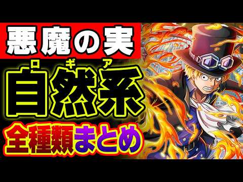 2024年完全版！悪魔の実自然系 ( ロギア ) 能力者まとめ【 ワンピース 最新 】 ※ジャンプ ネタバレ 注意