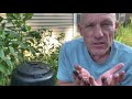 Nutrient Cycling and Organism Roles