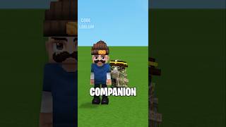 Hytale companion mod #hytale #hytalemod