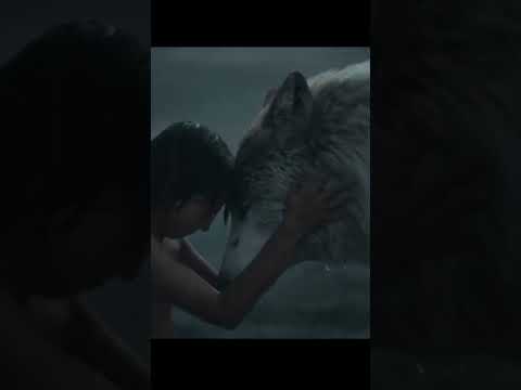 जब एक भेड़िए ने बचाई अपने दोस्त की जान  #shorts #wolf #hindi