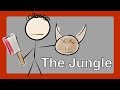 Jurgis and Ona's Struggles in Chicago