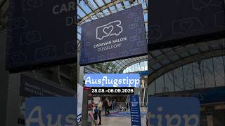 Wohnung gekündigt, Camper gekauft? 🚐💨😂