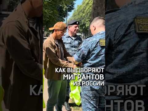 Приставы сопроводили иностранцев без гражданства до государственной границы