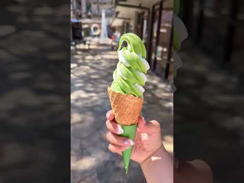 Top things to do in Oahu. #hawaii #travel #itinerary #oahu #islandlife #hawaiiisland #travelvlog