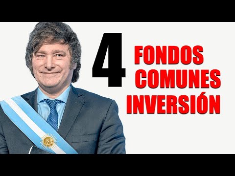 Mejores Fondos Comunes de Inversión en Argentina para ganar más dinero!