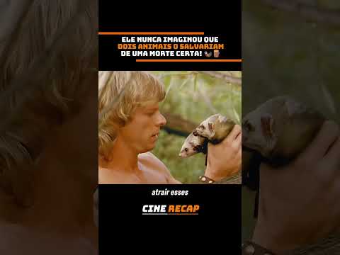 UM PÂNTANO E PEQUENOS FURÕES!