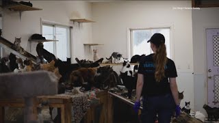 YouTube video thumbnail: Reunions for Some of the 700 Animals Rescued From California Animal Sanctuary