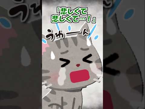 【2ch】ウチの猫が拒○症になった。原因は…【アニマル】 #Shorts